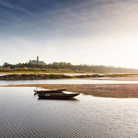 Appart' Cosy En Bord De Loire Saumur Exteriör bild