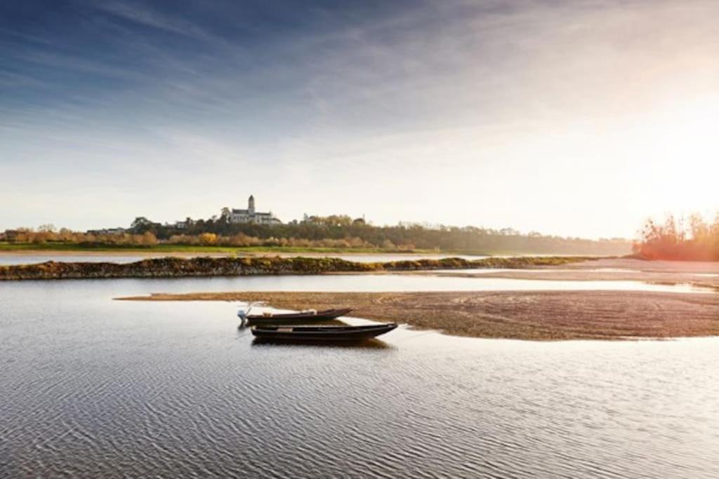Appart' Cosy En Bord De Loire Saumur Exteriör bild